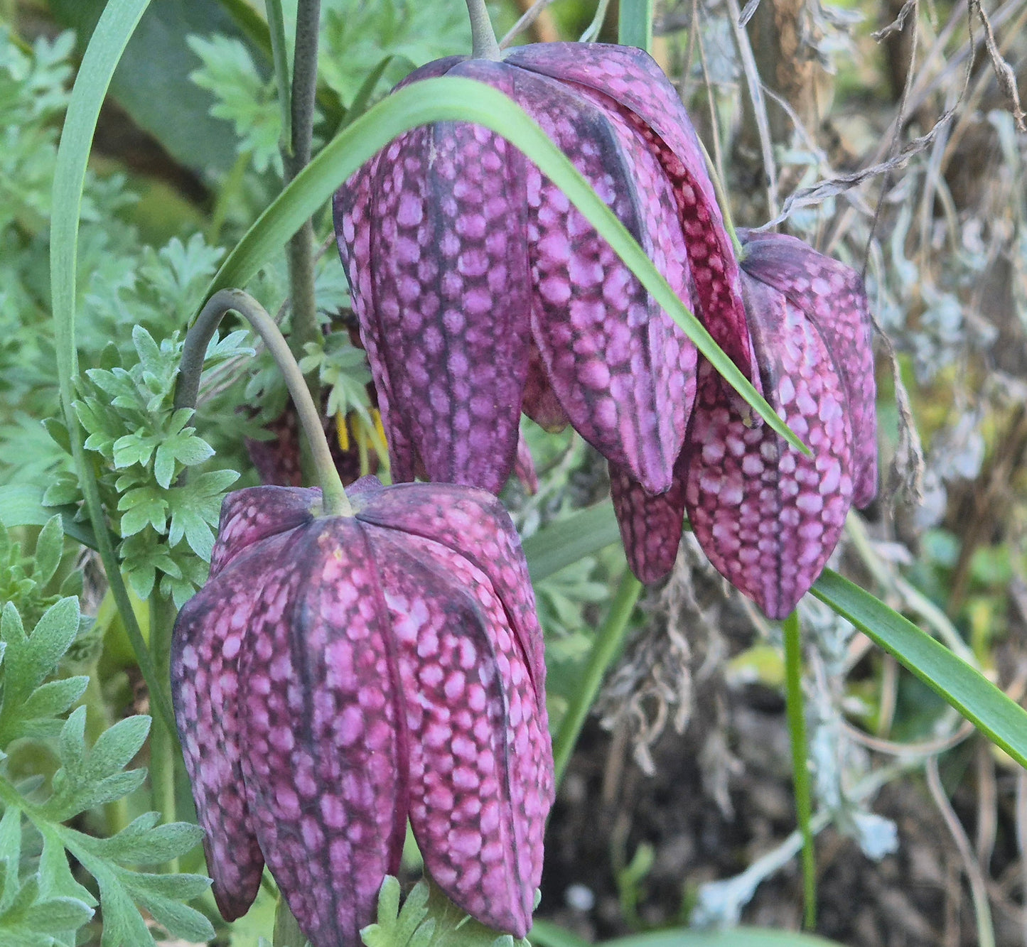 River & Woodland Experience