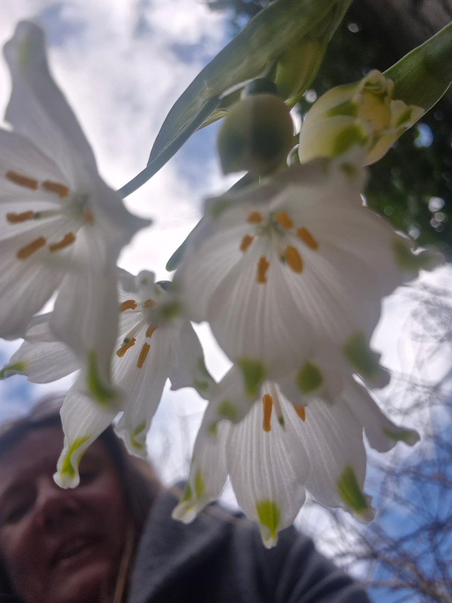 River & Woodland Experience