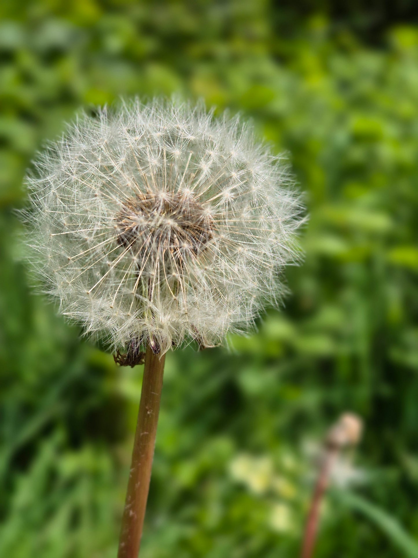 River & Woodland Experience