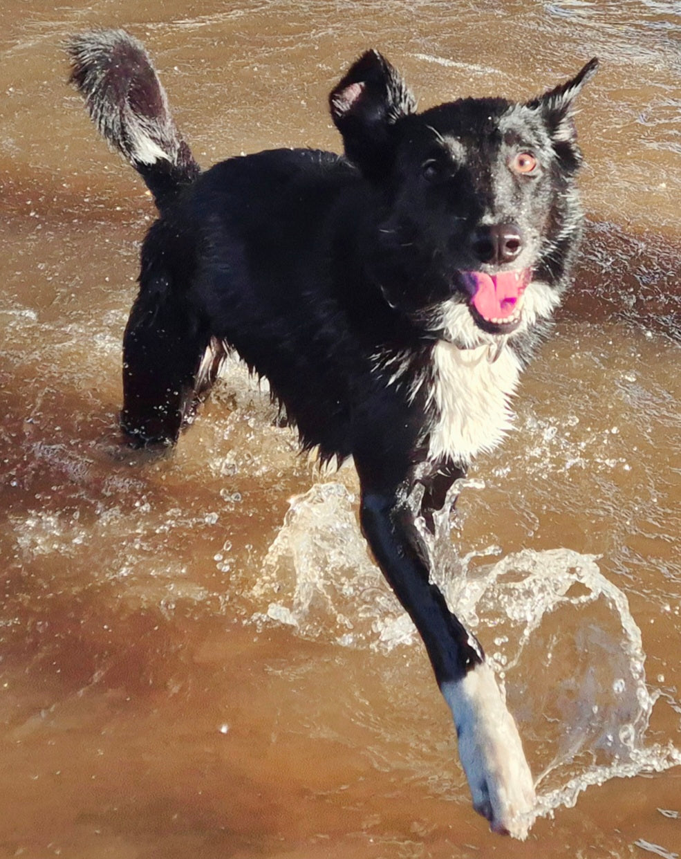 River & Woodland Experience