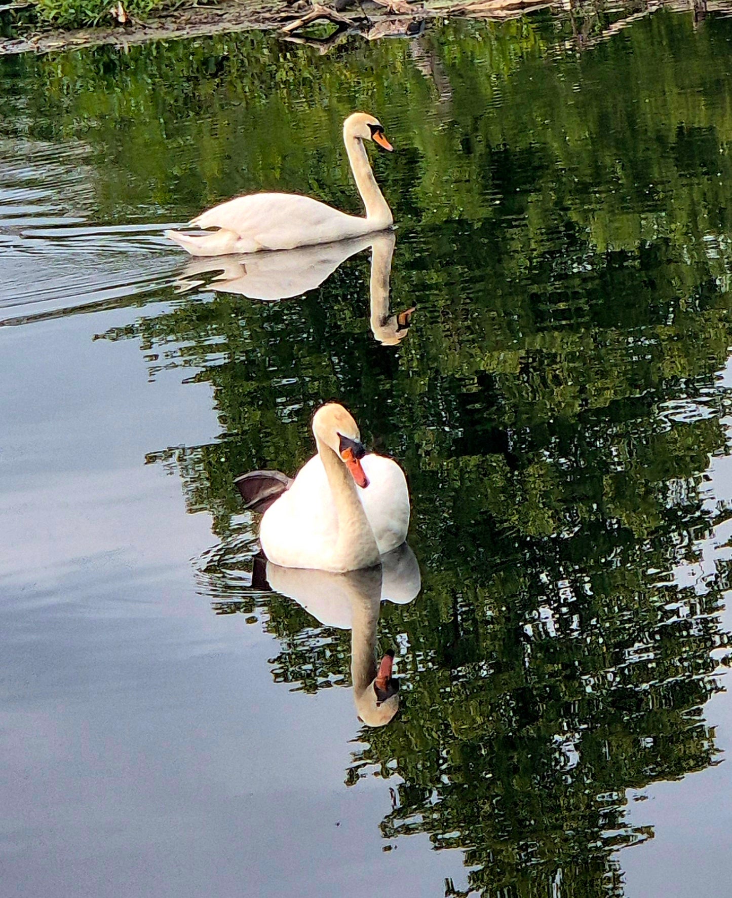 River & Woodland Experience