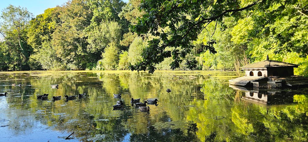 River & Woodland Experience